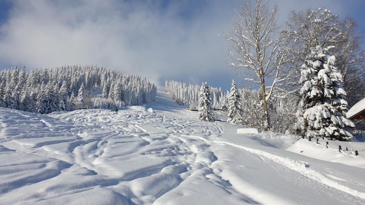 Penzion Srub Panorama Pec pod Snezkou Exteriör bild
